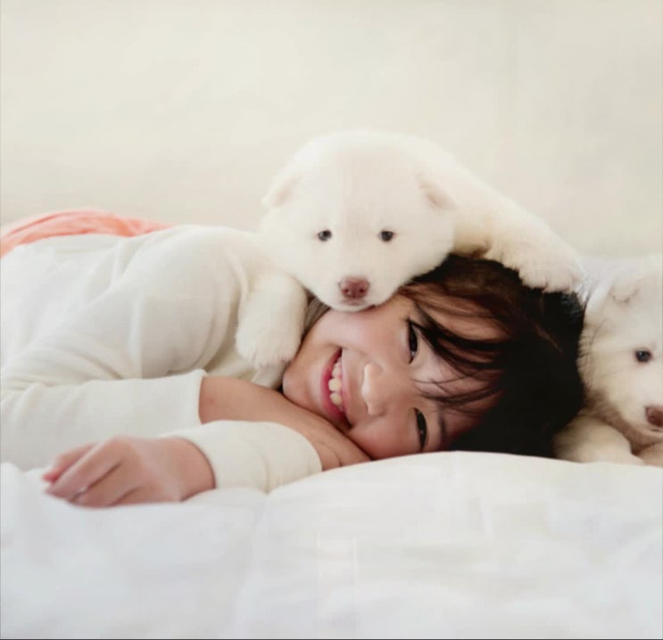  애견장례, 애견장례식장, 가장 믿을만한 레인보우엔젤,