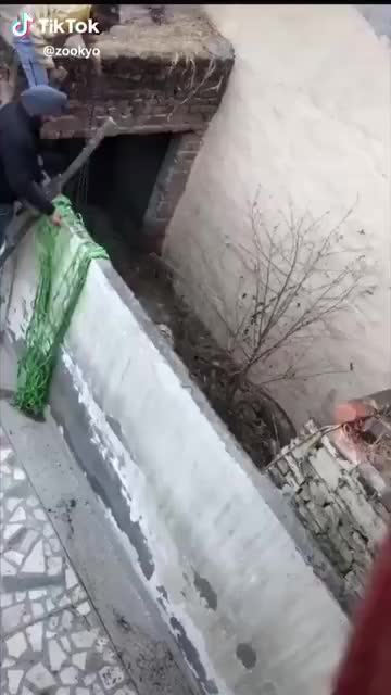  영상모음
