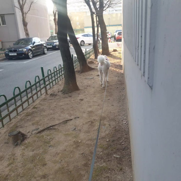  20.02.11 아침산책