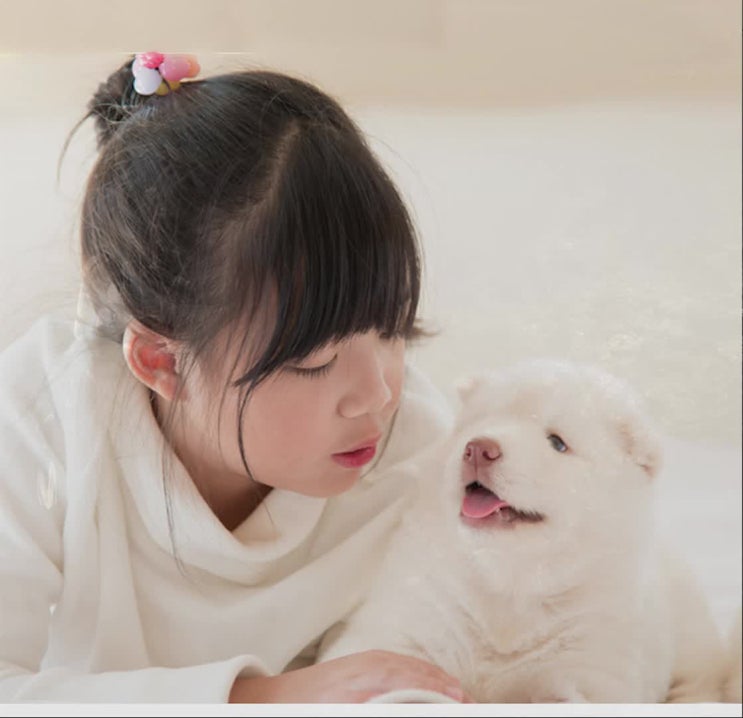  강아지화장터, 소중한 이별을 레인보우엔젤과 함께