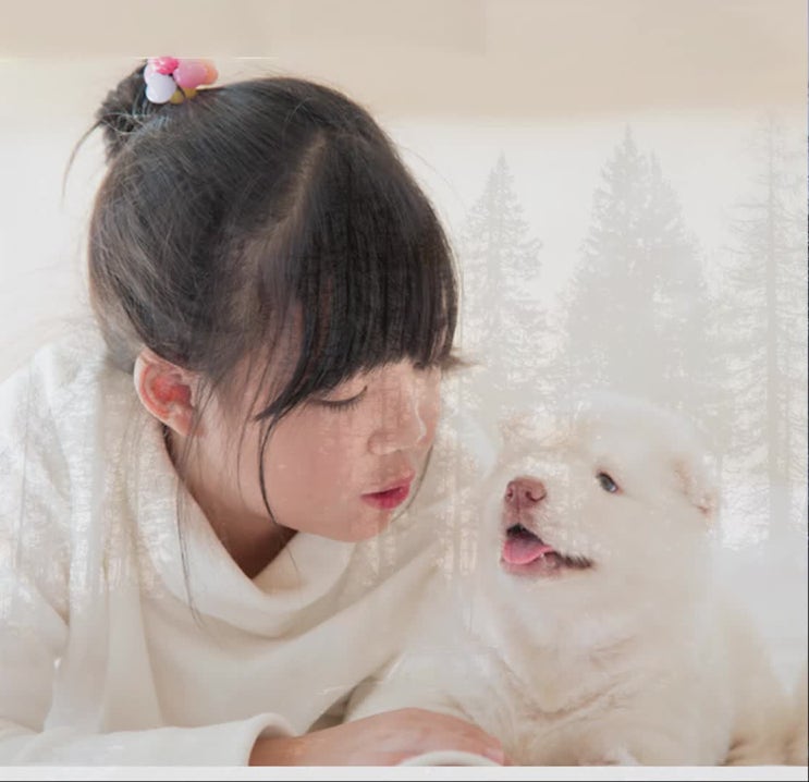  애완동물장례, 애완동물장례식장,잘 선택하는 법.