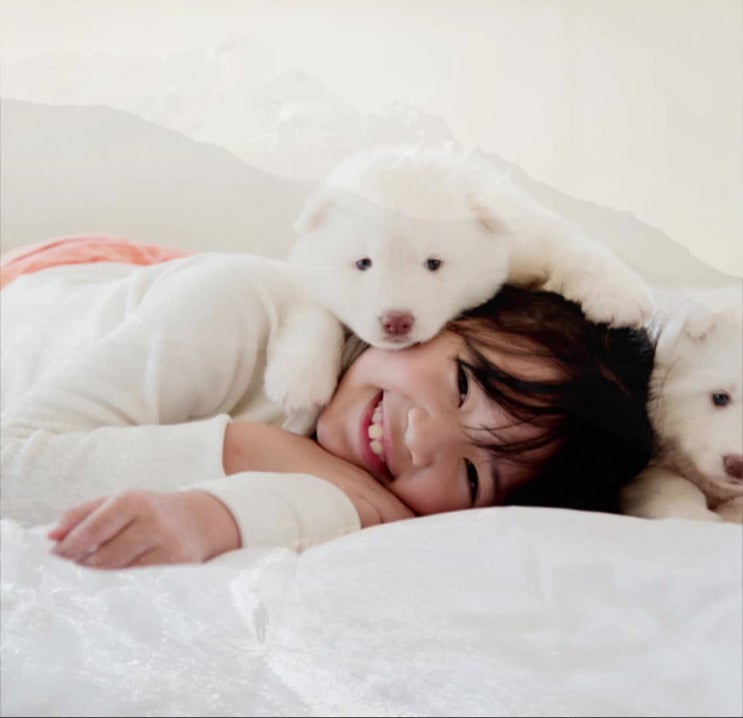 구리 시 남양주시 하남시 마석 청평 가평 양평, 반려동물 애견 강아지 반려견 애완견 애완동물, 화장 화장장, 레인보우엔젤
