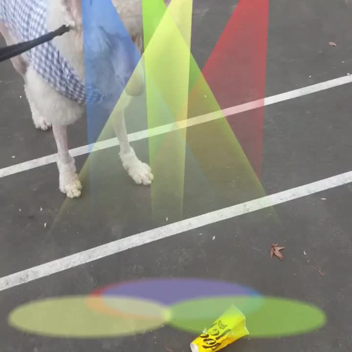  파뤼타임