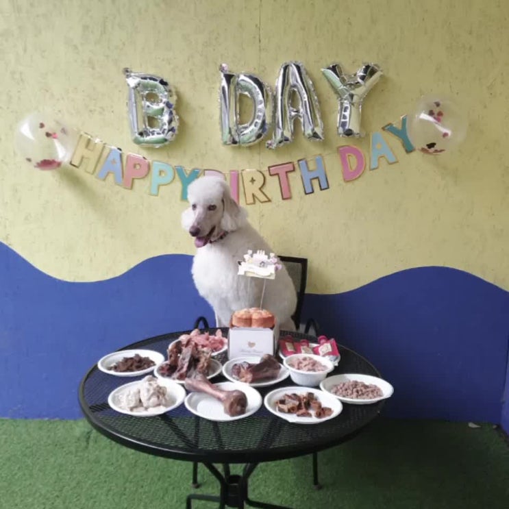  20.02.21 몽이 생일파티