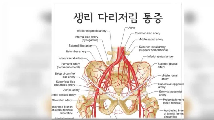  생리 다리저림, 통증 증상이 생기는 이유 [수원 영신한의원]