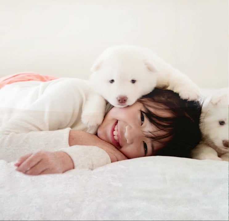 애견화장터 애견납골당 선택 시 중요하게 봐야할 선택법