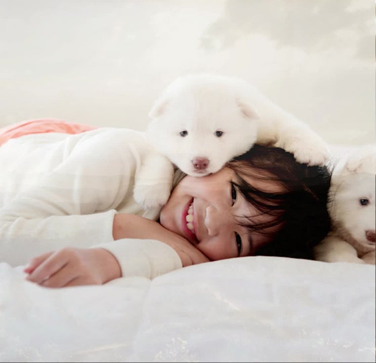  강아지화장터, 대충 선택하지 마세요