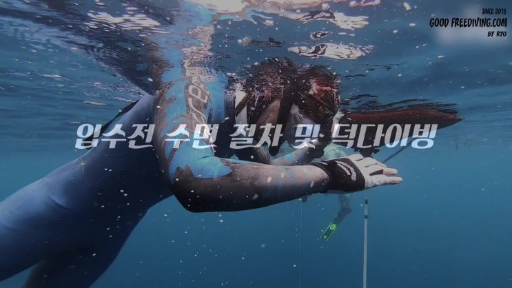  프리다이빙 종목 CWT 입수 방법과 덕다이빙후 라인 찾는 방법
