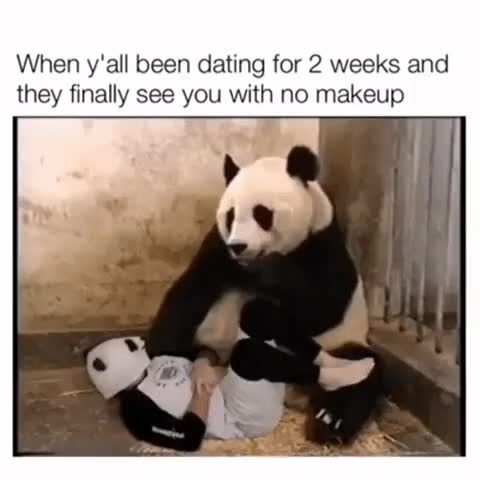  화들짝 놀라는 팬더