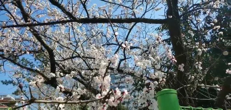  비움과 채움의 계절