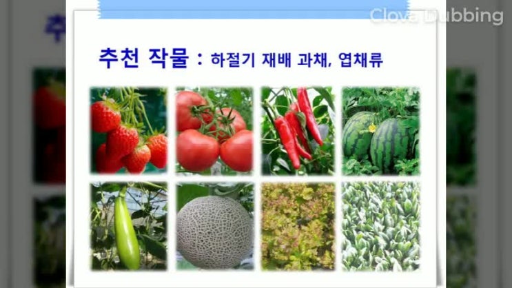  온실 하우스 차열망 후레쉬네트 홍보 영상