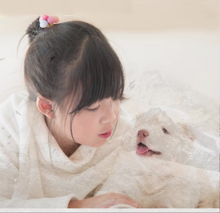  강아지 죽음으로 걱정되는 상황!!레인보우엔젤과