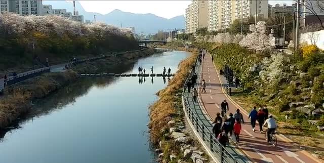  우이천 벗꽃구경 - 배경경음악-조항조 거짓말