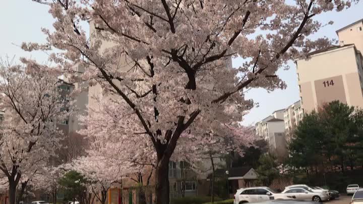  [난임원인]자궁근종 수술 상담(수지마리아,서울역차병원)