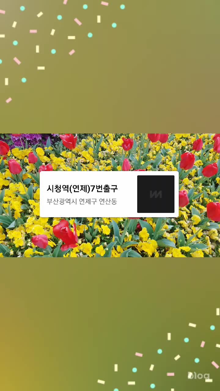  네이버 모먼트 만들어보기