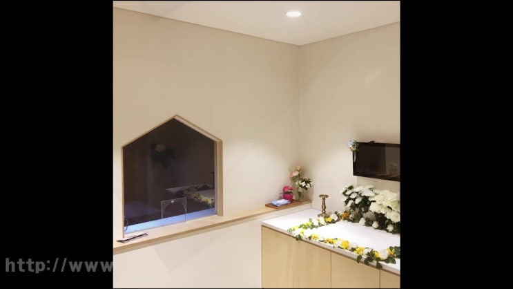  서울 인천, 강아지 장례식장, 고양이 장례, 반려동물 화장을 결정할 때