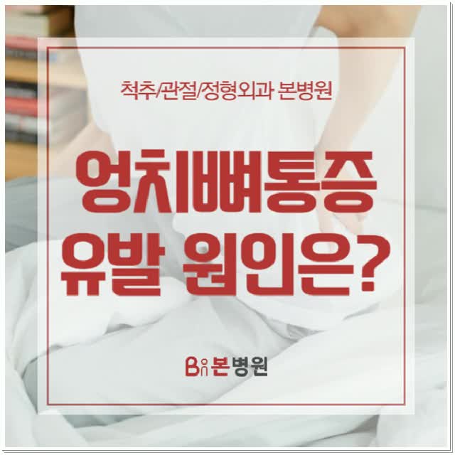  엉치뼈통증 유발하는 다양한 원인들