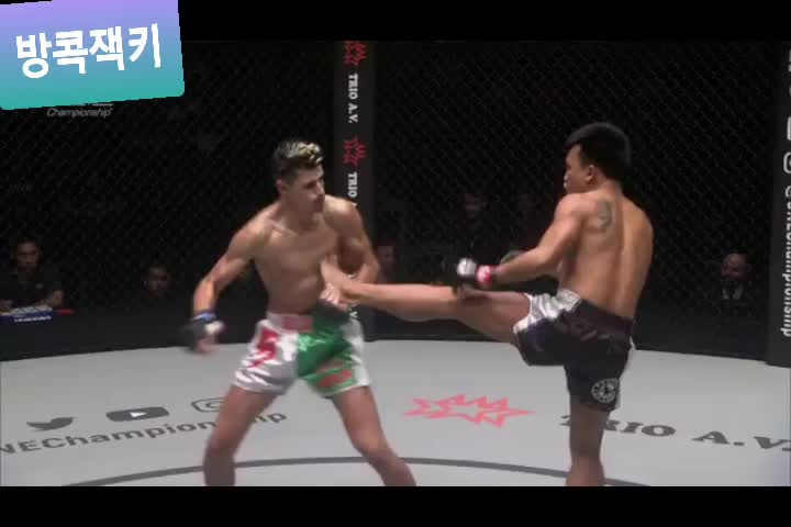  원챔피언쉽 KO 하이라이트