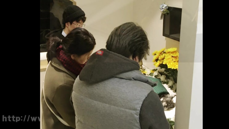  김포 강아지장례 바로 예약이 가능해요!