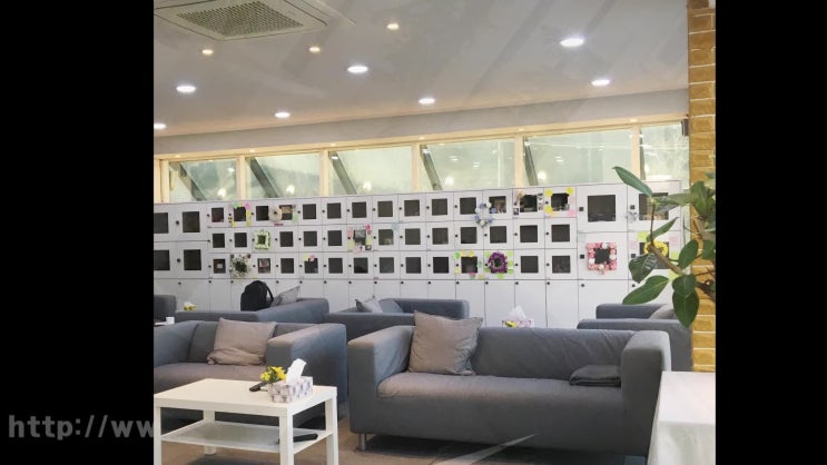영등포구 양천구 구로구 강아지 장례 고양이 화장 반려견 장례식장 선택으로 고민된다면