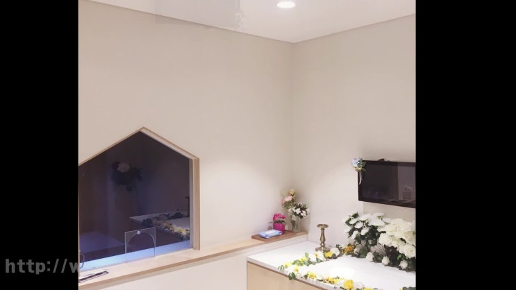  강아지 반려견 반려동물 안락사비용, 잘 확인하세요
