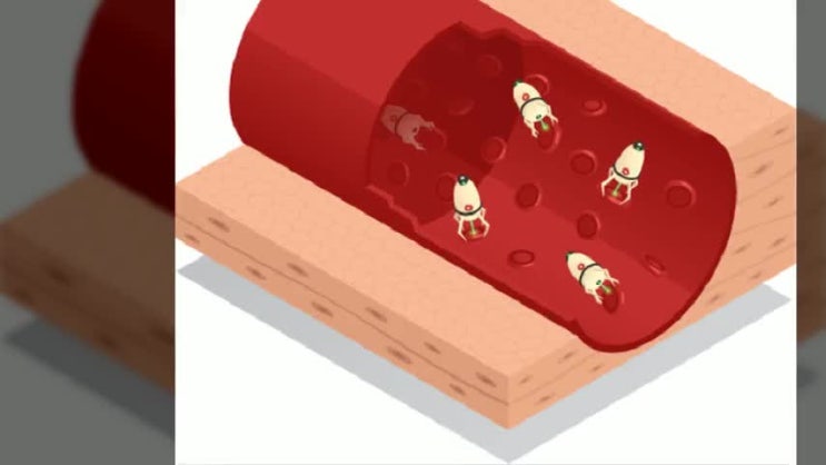  아이부터 어른 모두 '2대 진단금'