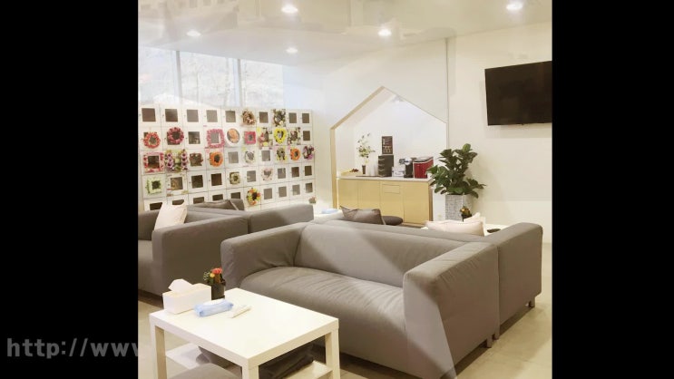  김포 강아지 장례, 경험과 올바른 절차, 레인보우엔젤