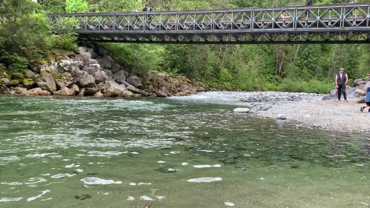  캐나다 밴쿠버 메이플릿지 Golden Ears Provincial Park(골든 이어스 주립공원)