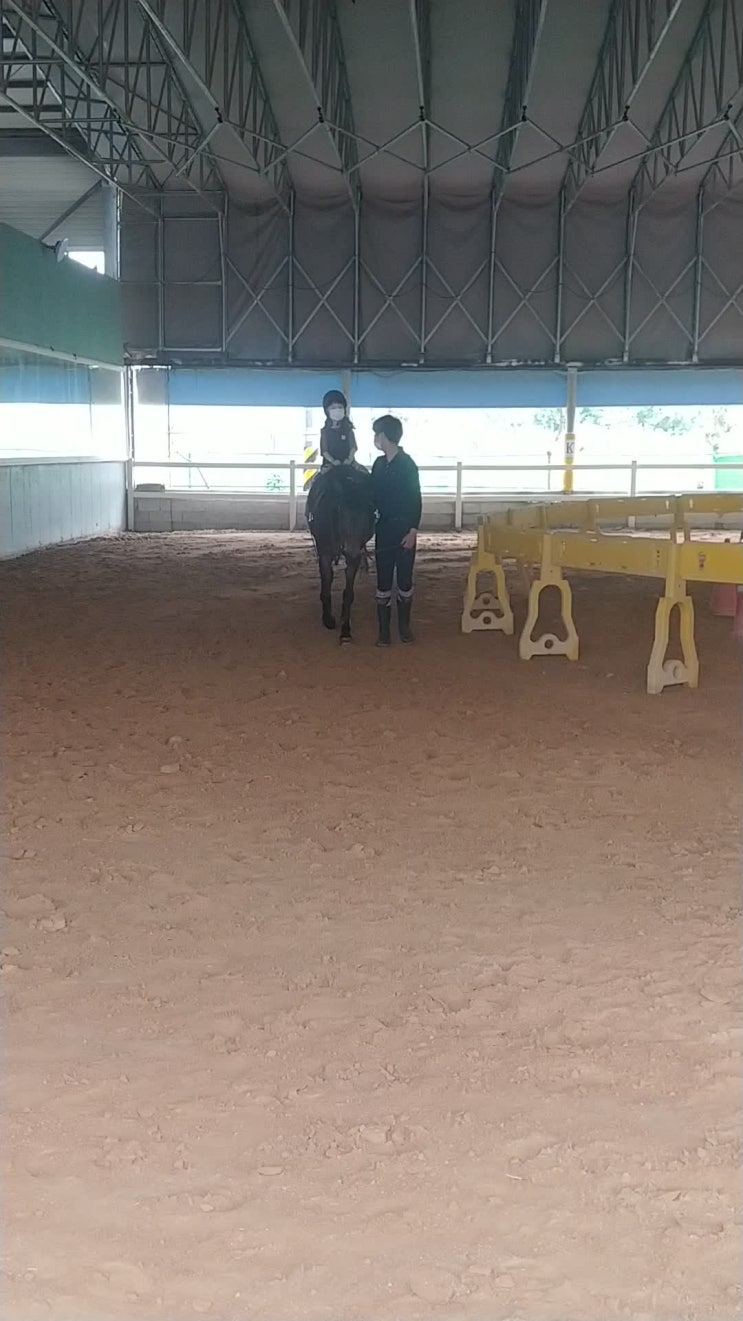  미사리승마공원에서 말타기체험도 하고 동물먹이주기도 해요