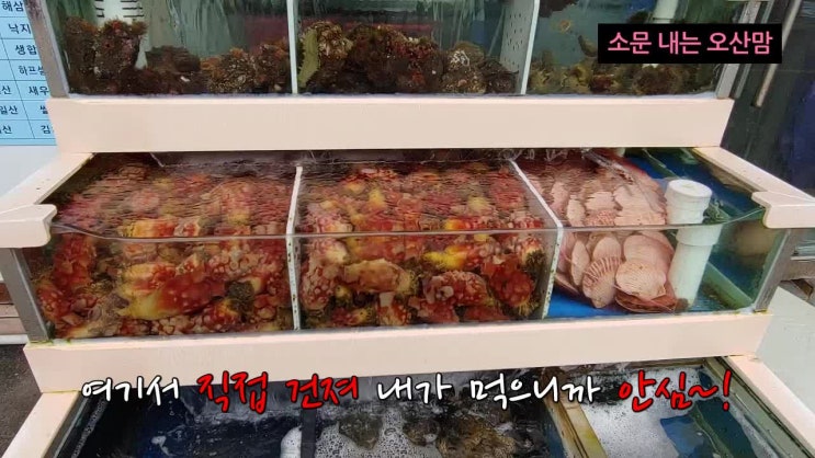 오산횟집 매운탕 진짜 맛있는 어촌회