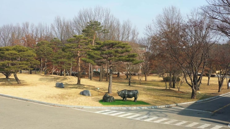  하늘에서 내려다 보는 연암대학교