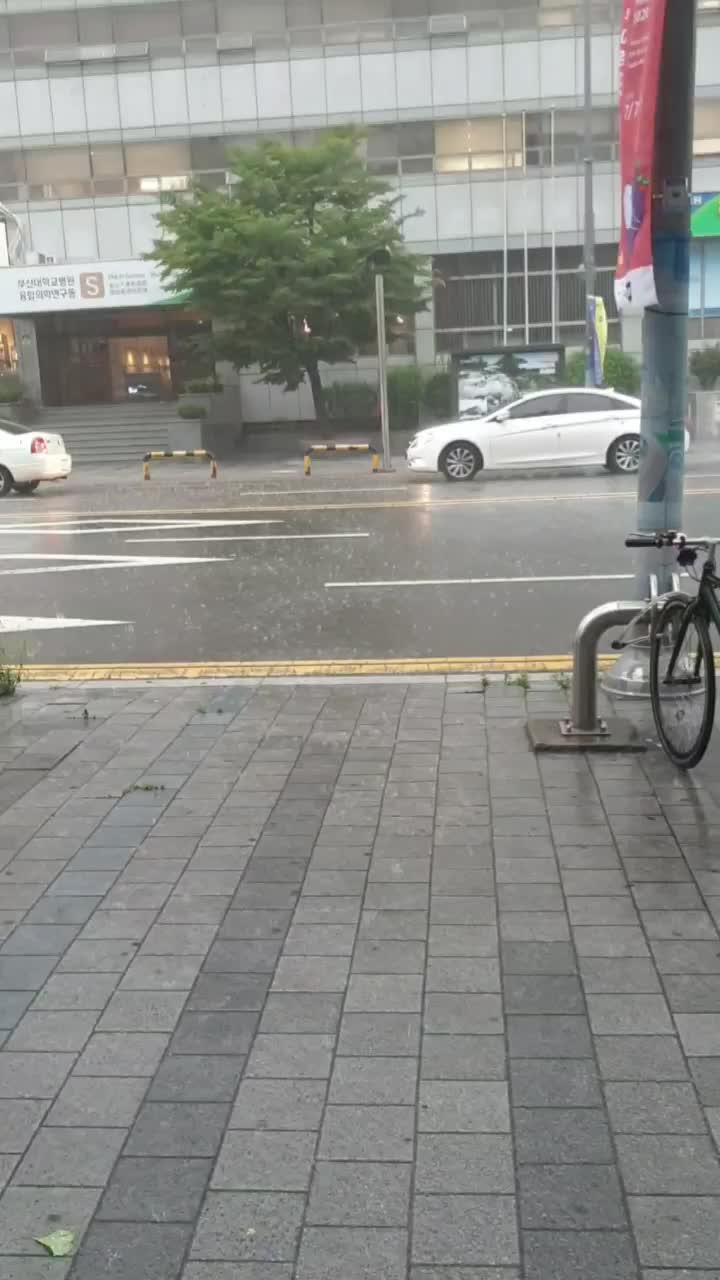  담낭(쓸개) 제거 수술 후기 두 번째(정산한 병원 수술비 내역)