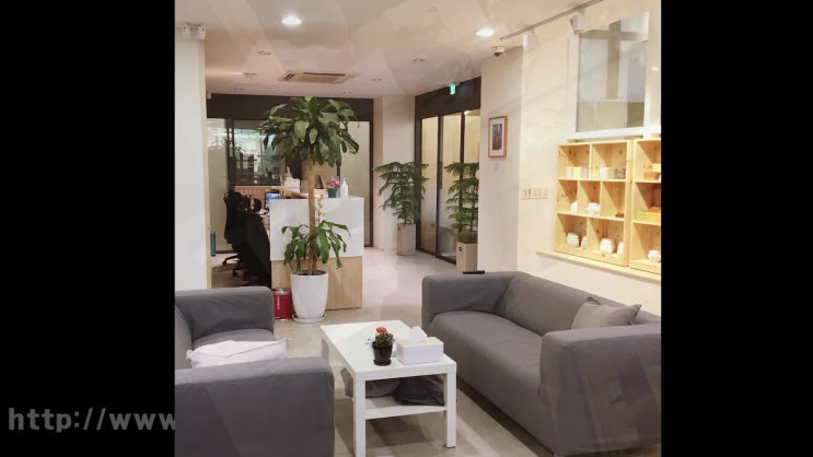  서울 반려동물 장례 반려견 화장, 최상의 만족도 레인보우엔젤에서!