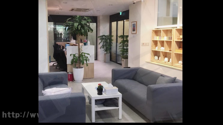  시흥 강아지 장례 화장 화장터 장례식장, 마음으로 위로하는 레인보우엔젤!