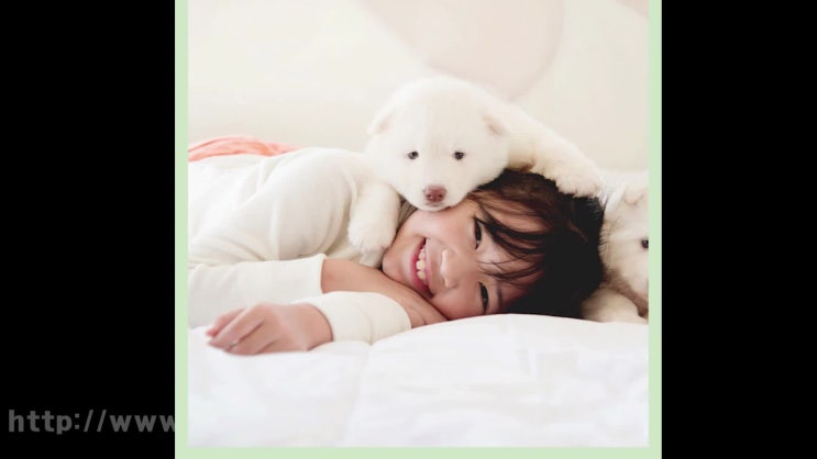  의왕 강아지 장례 반려동물 화장  애견 화장터 반려견 장례식장, 선택이 혼란스러울 때는 레인보우엔젤과!