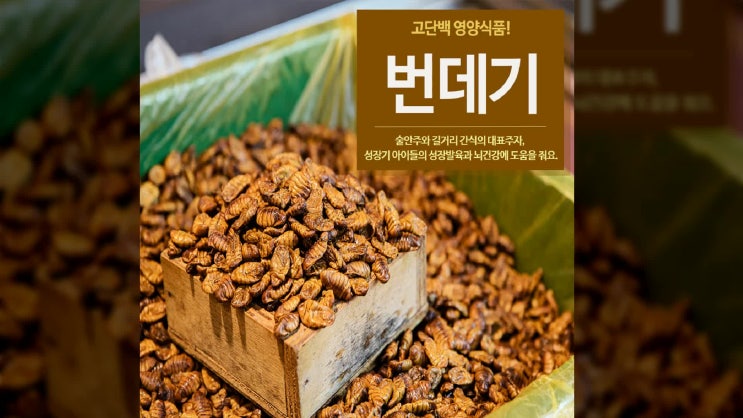  단백질많은 번데기 효능! 영양성분 정리.