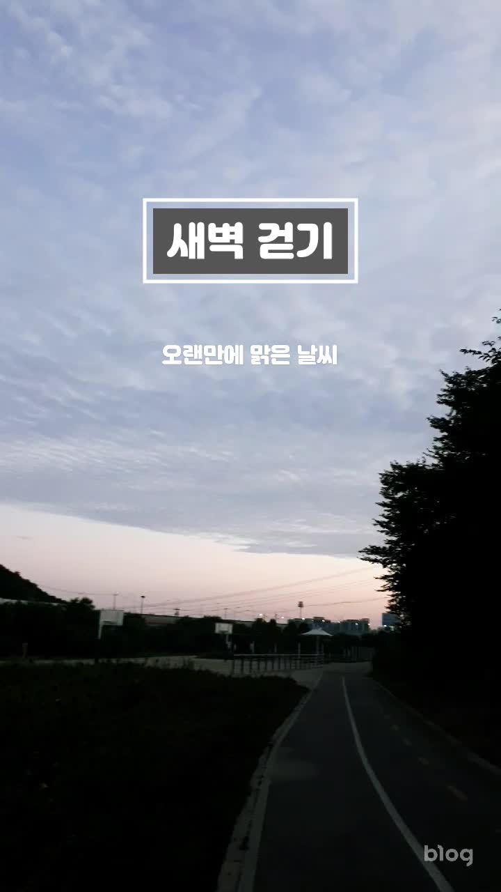  안양천에서 새벽 걷기
