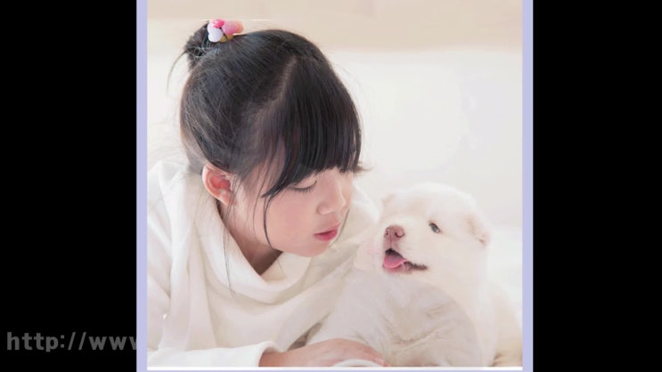  반려견 반려동물 죽음엔 걱정없이 레인보우엔젤과!