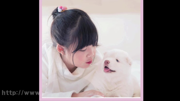  용인 강아지 장례 화장터 애견 장례식장은 올바른 마인드의 레인보우엔젤에서!
