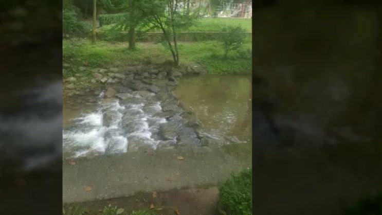  분당 부동산 네이버광고 내렸더니 국토부에서 공인중개사 담합으로 조사한다네요