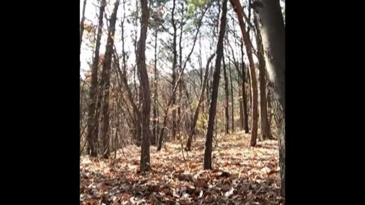  유령 포착 ㄷㄷㄷ