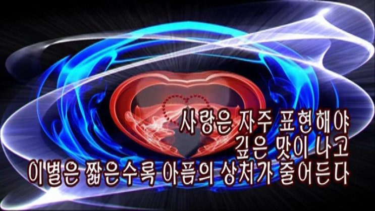  카톡 영상모음3