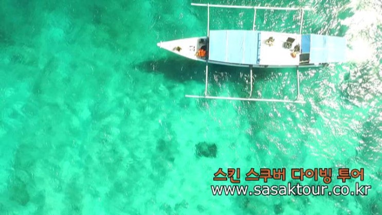  스킨 스쿠버 다이빙 투어
