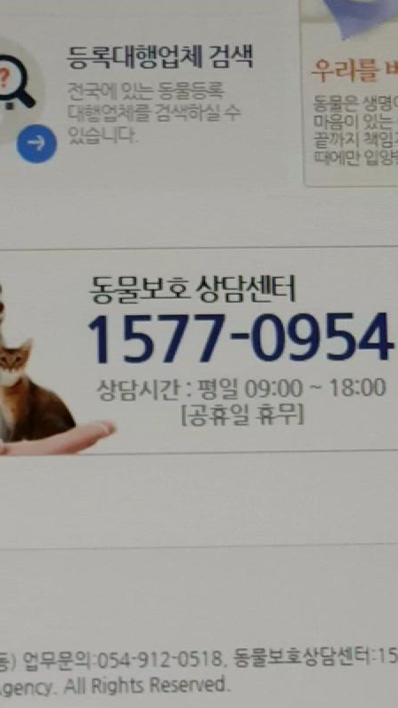  동물보호관리시스템 동물보호 명예감시단 동영상 강의 들어 본 후기와 주의사항