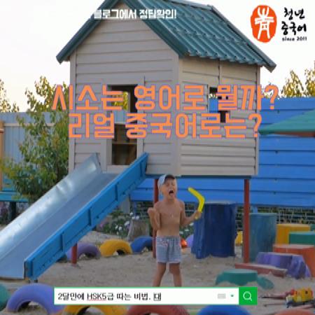  시소는 영어로 뭘까? 리얼 중국어로는?