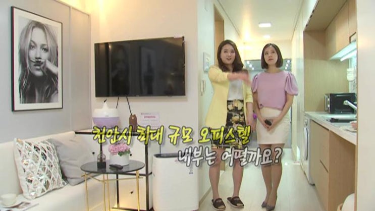  아크로텔천안두정-현장정보