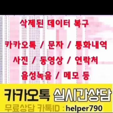 <일산/성남>배우자외도/바람난남편/문자복구/통화내역확인/카톡복구/복제폰전문