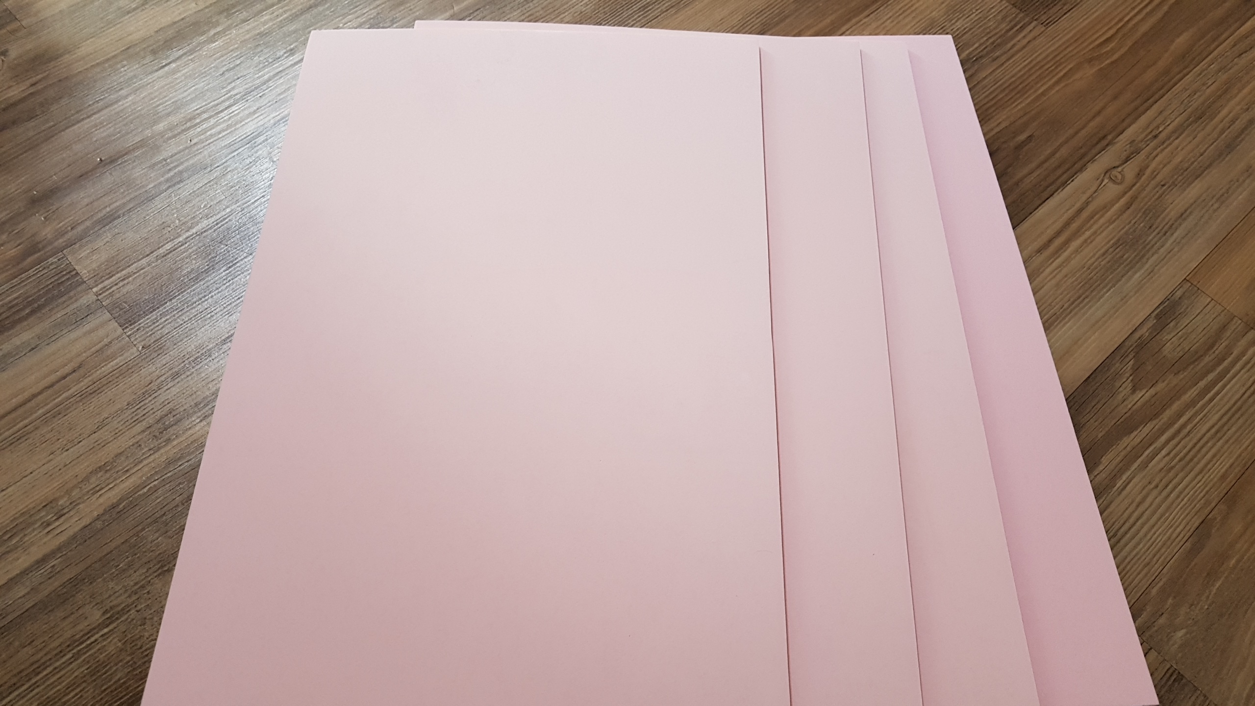 20190404_120607.jpg