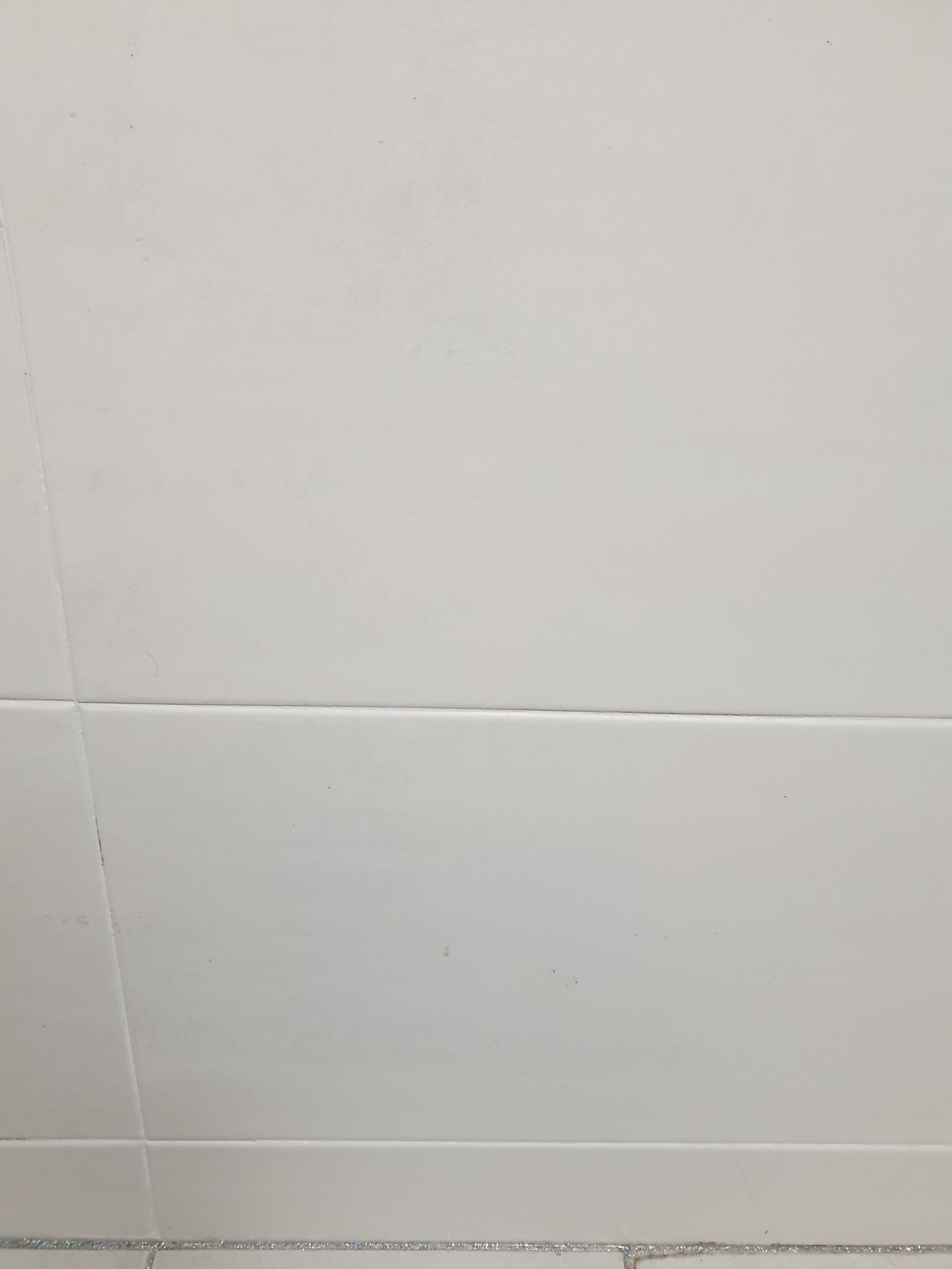 1554855287433.jpg