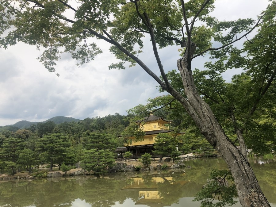 KakaoTalk_20190625_005437364_06.jpg